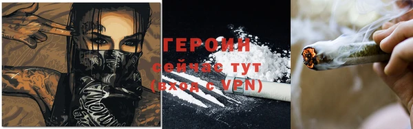 прущие грибы Балабаново