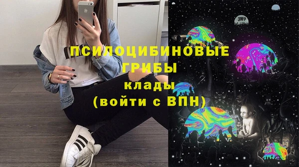 а пвп мука Белокуриха