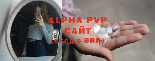 прущие грибы Балабаново